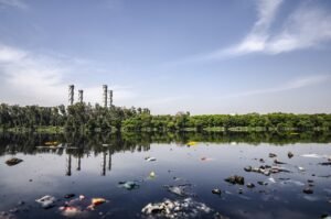 Bioremediation of environmental wastes