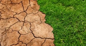 Soil contamination and its Bioremediation