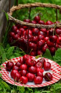 Cherries: Nutritional Composition and Health Benefits